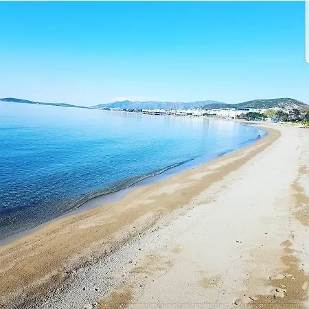 Aparthotel Avsa *